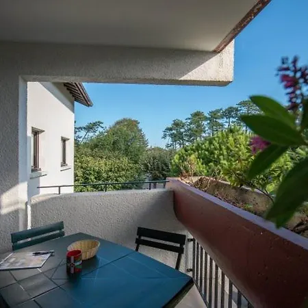 Ferienpark Residence Ocean & Foret - Chiberta - Reouverture