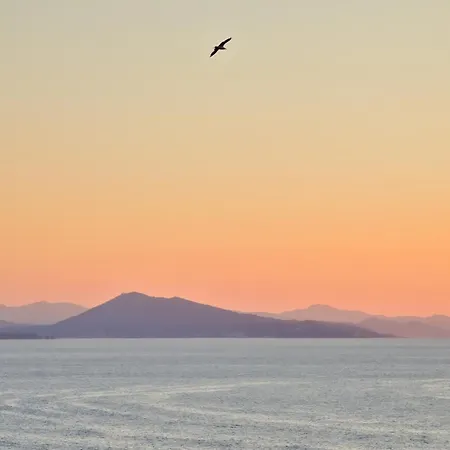 פארק נופש Vvf אנגלה