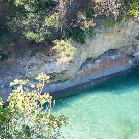 Résidence Océan&Forêt - Chiberta - Réouverture * Anglet