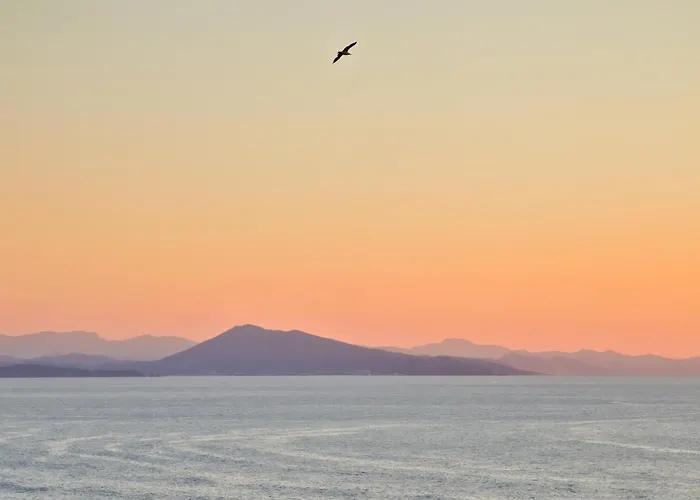 Semesterpark Vvf Anglet